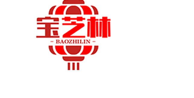 宝芝林人工智能